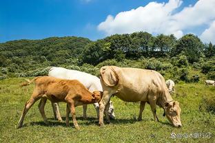 CBA官方更新外援注册信息：北京取消香农-埃文斯二世的注册